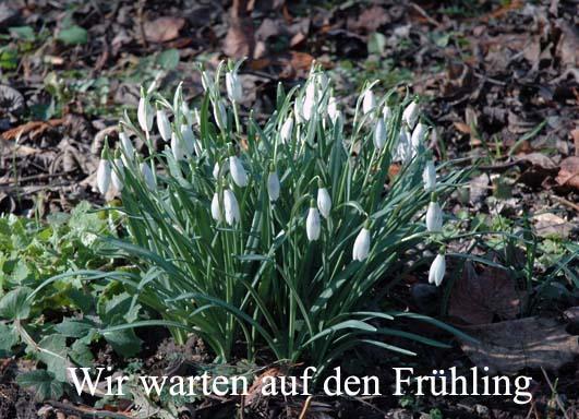 Konigszinne Bodenwerder Kültér fotó
