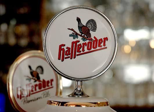 Konigszinne Bodenwerder Kültér fotó